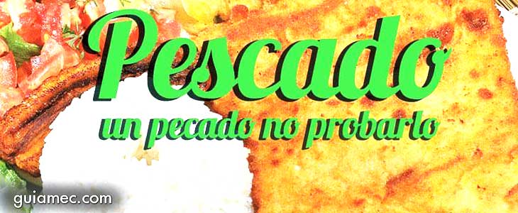 ceviches, mariscos, gato, portovejence en Guayaquil