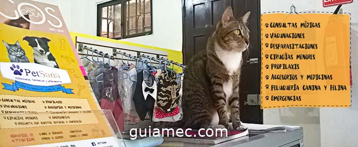 Pet Sana en Guayaquil