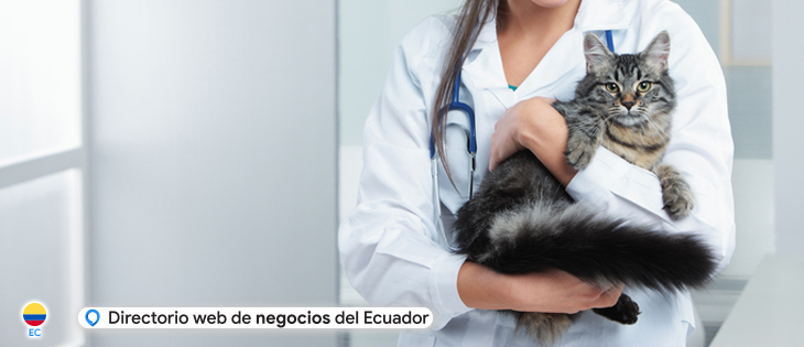 Veterinaria  en Guayaquil