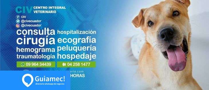Centro Integral Veterinario en Guayaquil