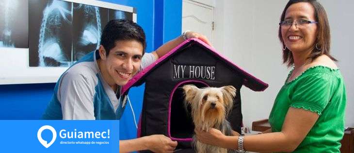 servicio médico veterinario en Guayaquil