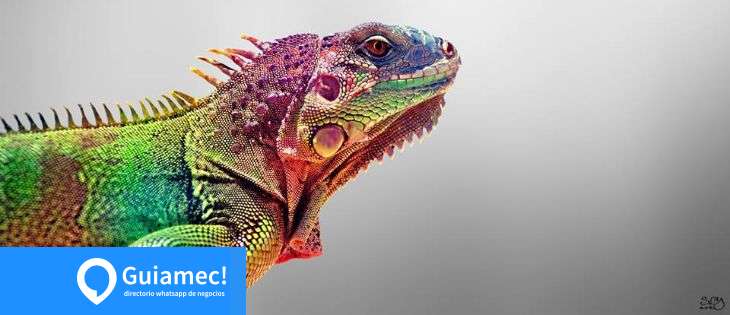 Print Center en Guayaquil