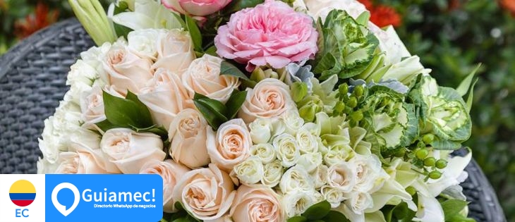 Suri Flowers ec en Guayaquil