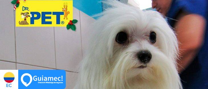 Dr. Pet en Guayaquil