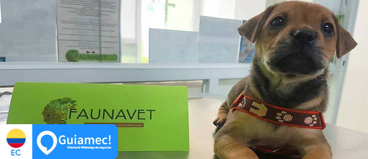 Peluquería perros Guayaquil , medicina veterinaria Guayaquil , salud canina Guayaquil  en Guayaquil