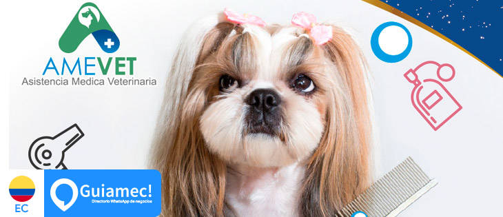 veterinario guayaquil, medico veterinario guayaquil en Guayaquil