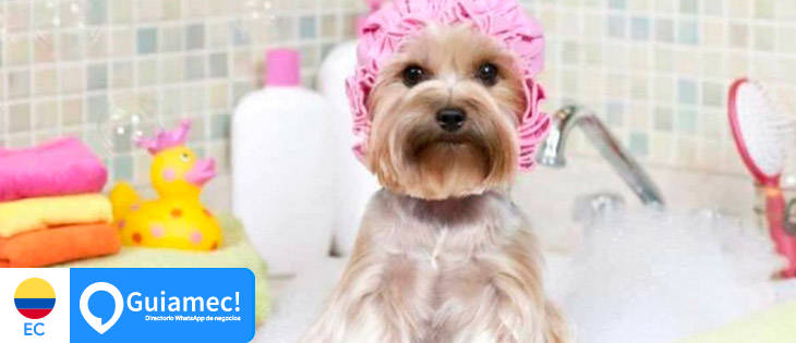 veterinaria, peluquería canina  en Machala