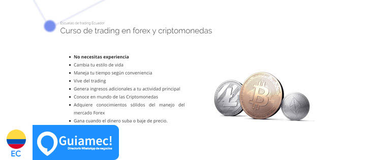 Curso de forex para principiantes pdf
