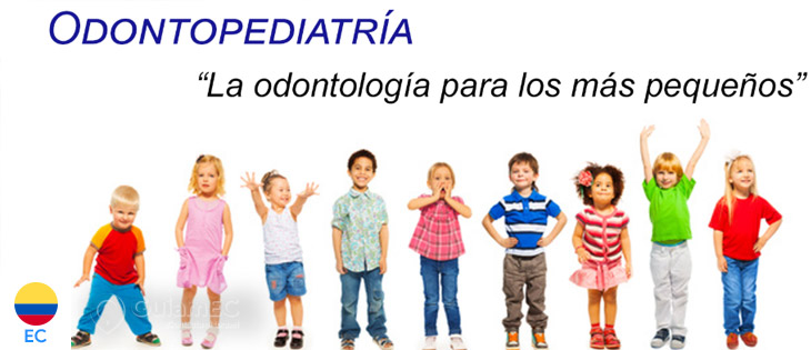 Dental Model en Guayaquil