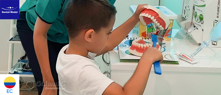 odontologia,  odontologo,  doctor en Guayaquil