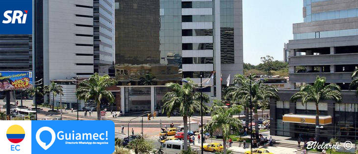 Consulta de ruc en línea SRI en Guayaquil