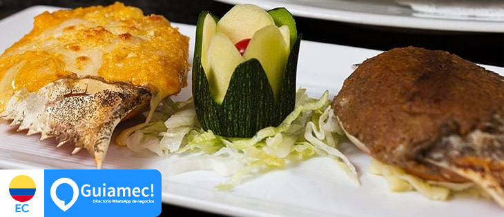 Restaurantes,  Comida Típica,  Comida Rápida en Cuenca