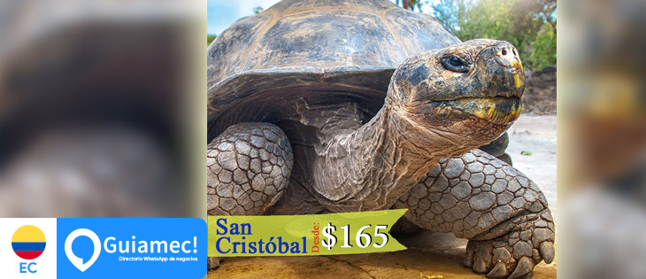 Agensitur en Samborondón
