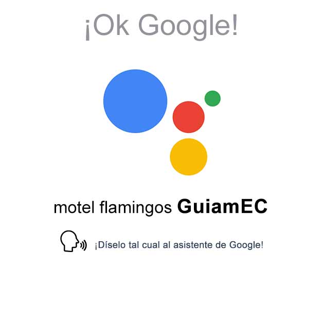 Flamingo Motel
