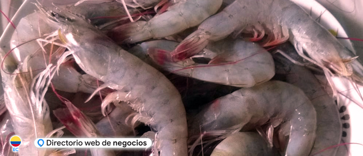 Camarones Kainlin en Durán