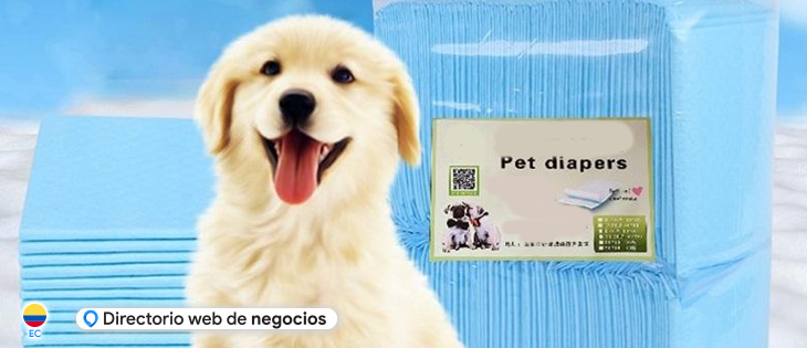 Pañales para Perros en Guayaquil