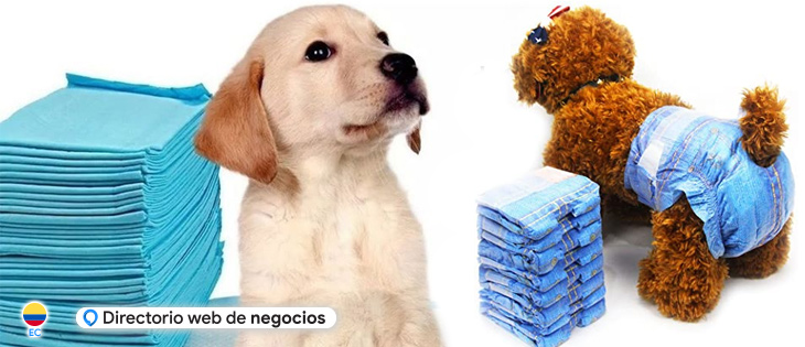 perras, pañales, venta pañales perros en Guayaquil