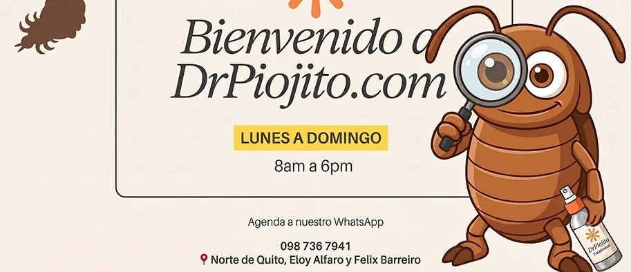 Dr. Piojito en Quito