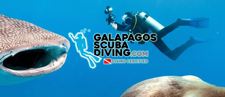 Galapagos Liveboard Diving Galasam en Galapagos Ecuador