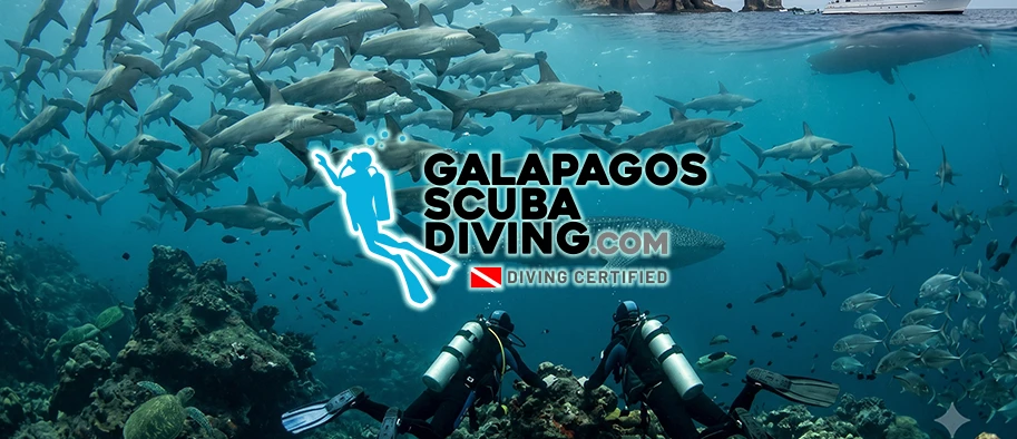 humboldt explorer, tiburón explorer en Galapagos Ecuador